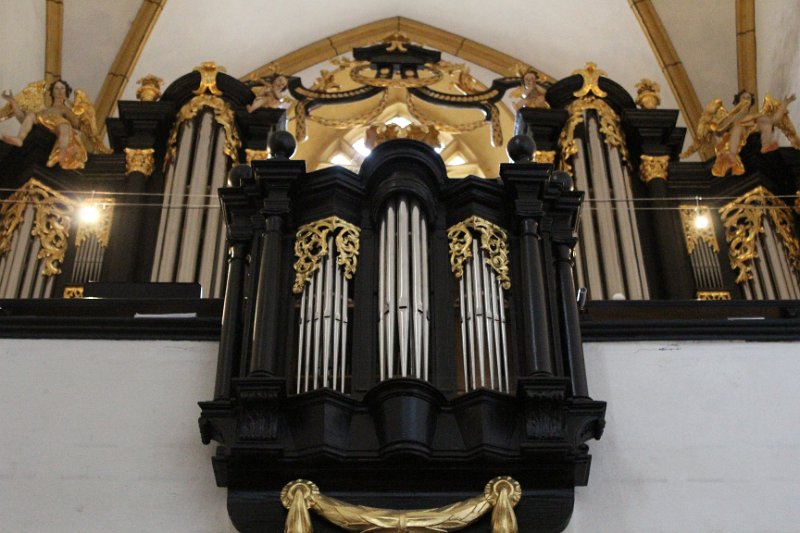 Allgäuer Orgel in der Kartausenkirche